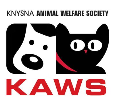 Help KAWS and win prizes